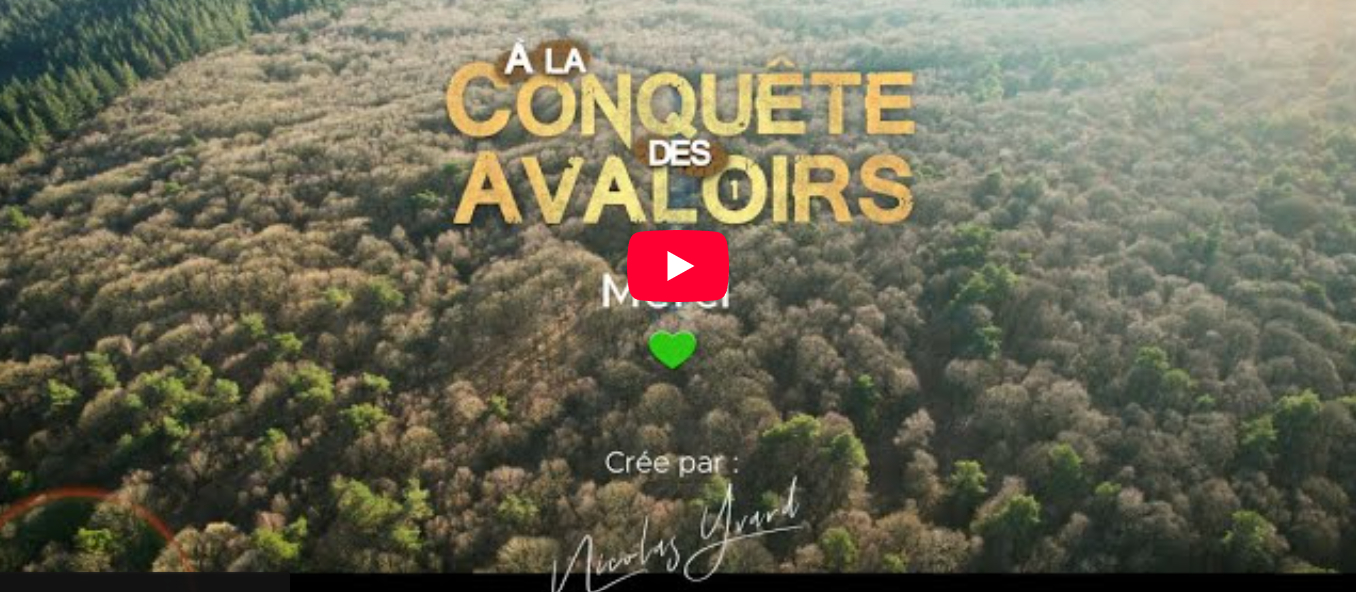 Vous voulez y être ? Tenez vous prêts !